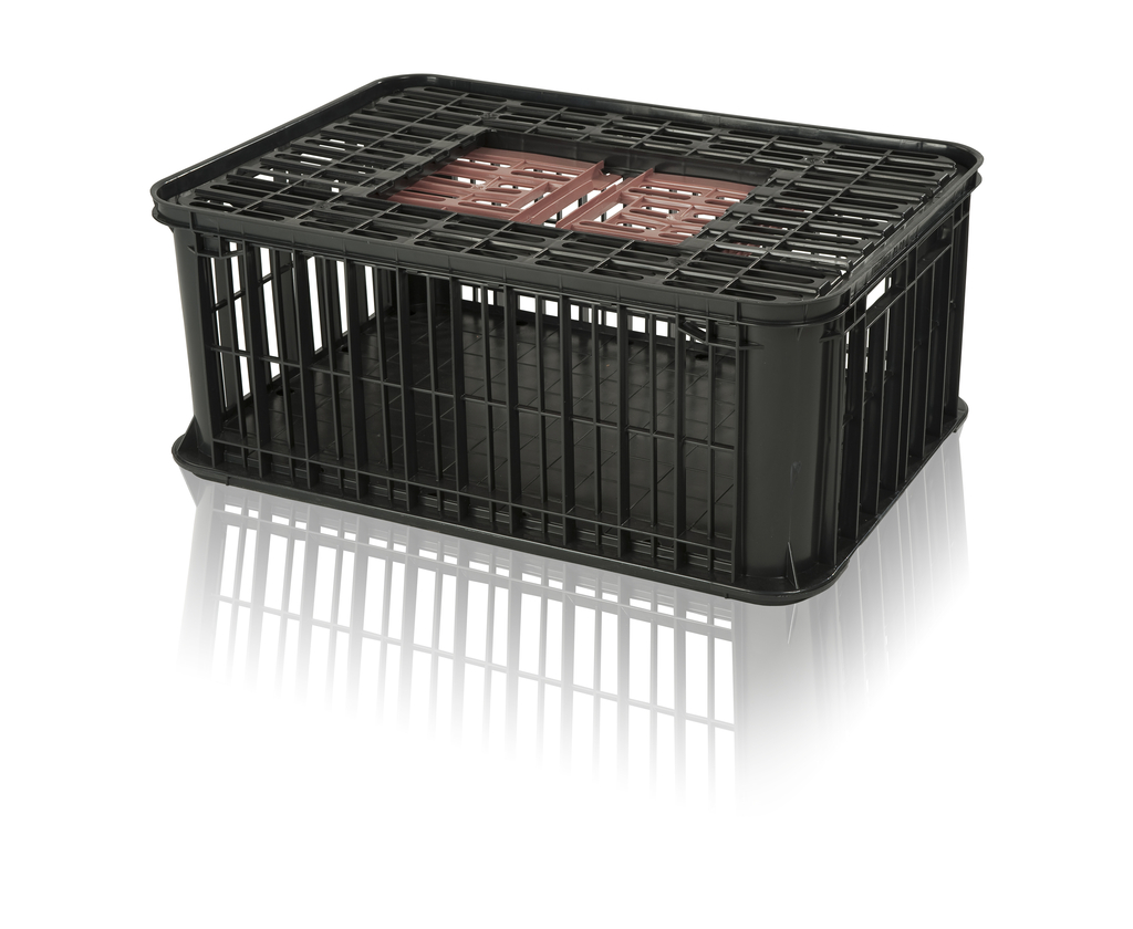 Container for poultry